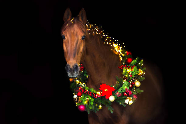 istock Horse in New year decor 1430743434