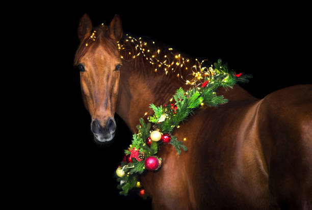 istock Horse in New year decor 1430743465