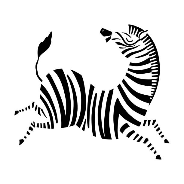 zebra im cartoon-stil. lustiger zoodruck. afrikanische zebra läuft seitenansicht. wildes tier, gestreifte haut. isoliertes objekt auf weißem hintergrund. - zebra walk stock-grafiken, -clipart, -cartoons und -symbole