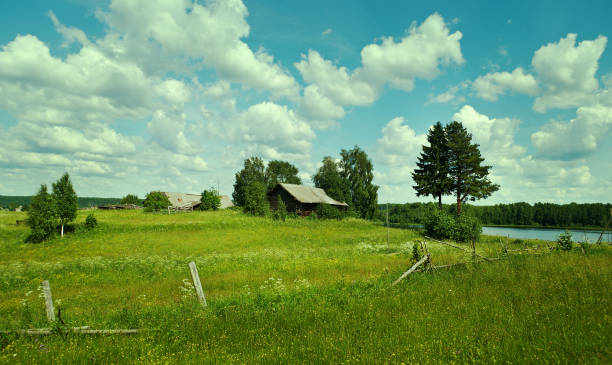 Russian  summer meadow stock photo