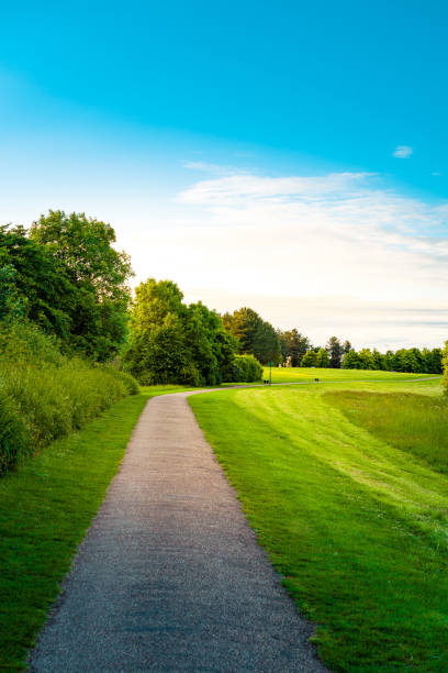 istock Curved Footpath in the Woods and Pasture 1430750644