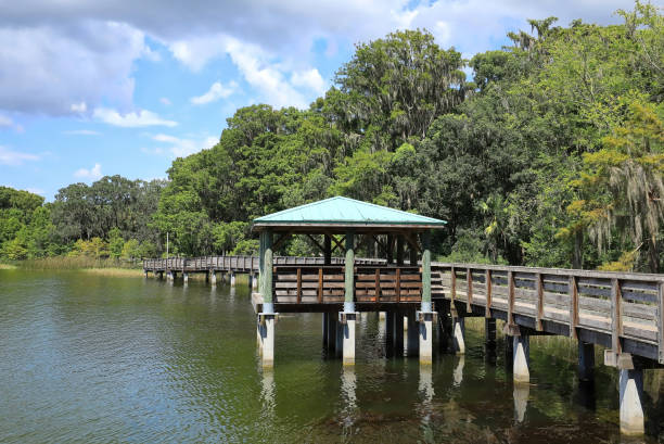 Palm Island Park Boardwalk