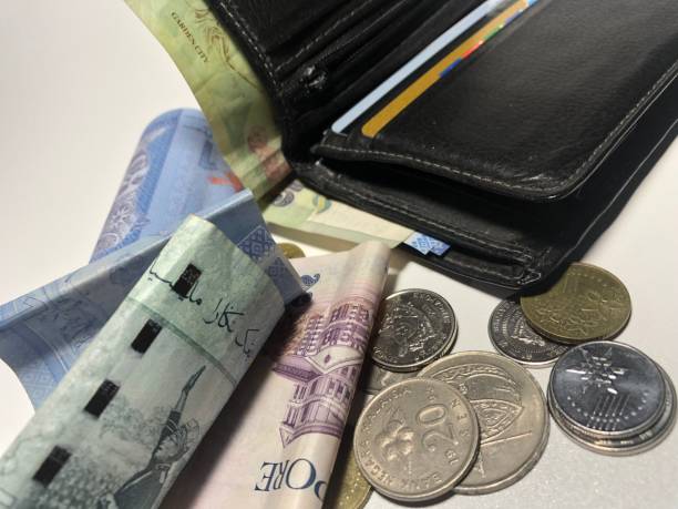 istock Wallet with money iside surrounded by Gold and silver coins and banknotes 1430753270