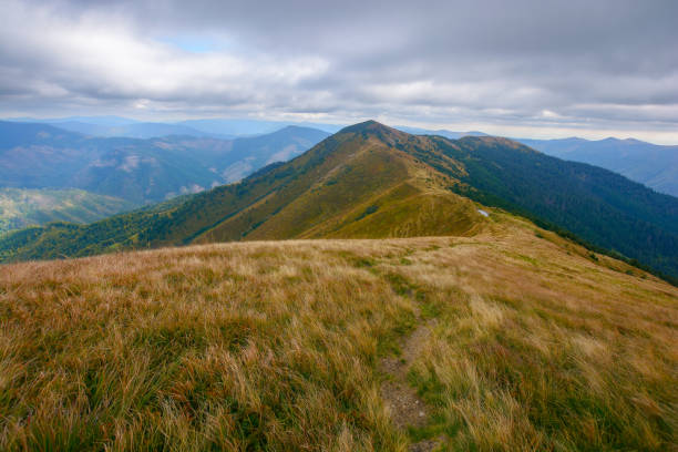istock carpathian mountains on an autumn day 1430754824