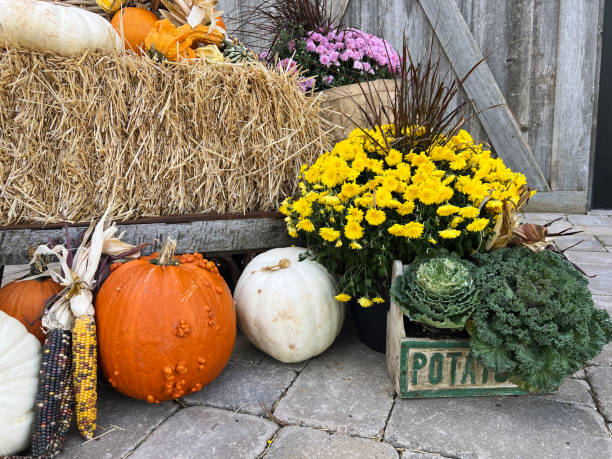 istock Colourful harvest still life 1430756052