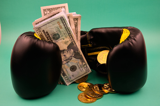 A bunch of dollars and cryptocurrency tokens, like dogecoin, bitcoin, litecoin and ethererum between boxing gloves and a green background.