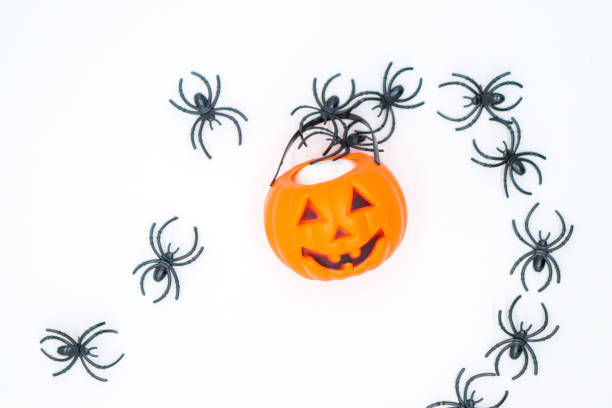 istock close-up halloween pumpkin with spiders on white background 1430768621