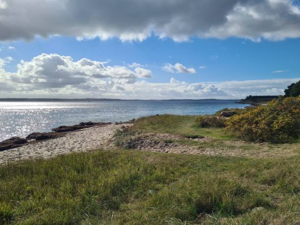 istock Walk on the Baltic Sea: beach, cliffs and small trail, everything is there 1430771927