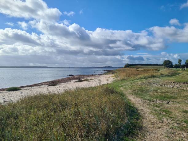 istock Walk on the Baltic Sea: beach, cliffs and small trail, everything is there 1430772006