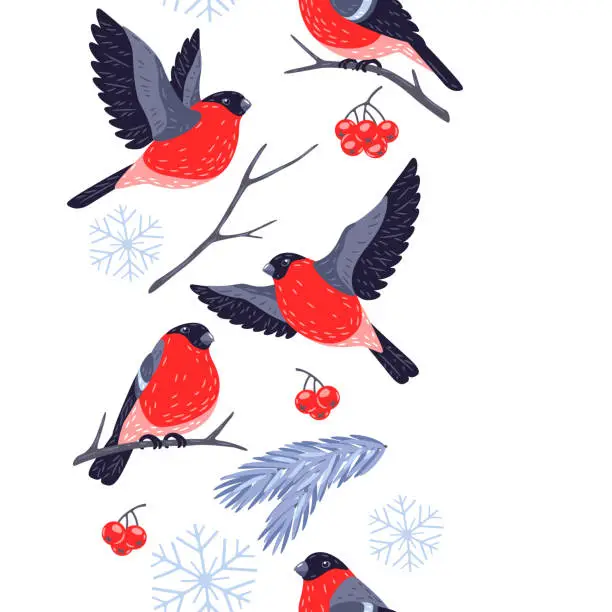 Vector illustration of Winter seamless pattern with birds bullfinches and plants. Merry Christmas and Happy New Year card.