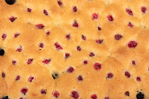 Full frame of the surface of a freshly baked berry pie. Copy space.