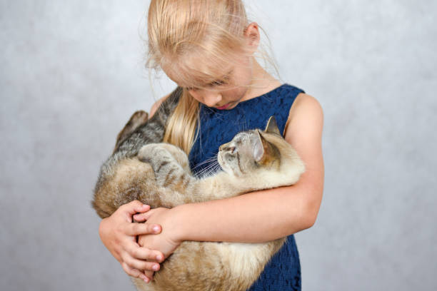 istock Child in a blue dress holding a cat, studio 1430774063