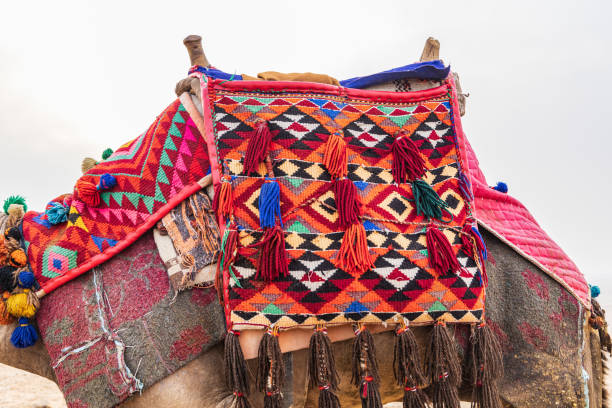 Giza, Cairo, Egypt. Camel with a tassled decorative blanket in Giza, Cairo.