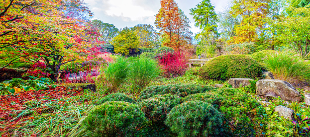 Autumn amazing panorama of autumn in Hamburg Botanical Garden \