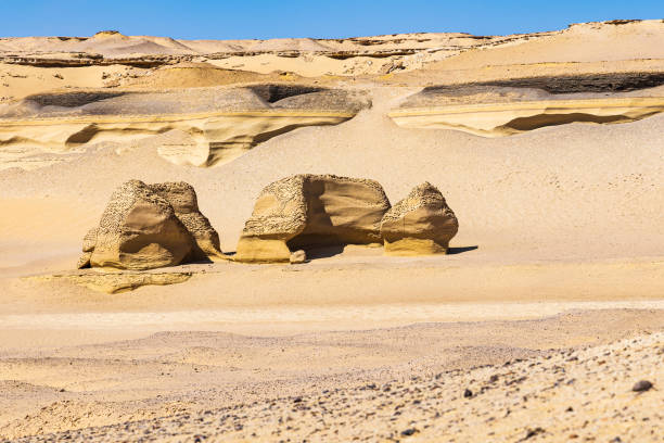 istock Eroded rocks along the interpretive trail at Wadi el-Hitan paleontological site. 1430781139