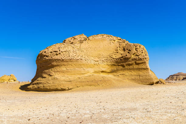 istock Eroded rocks along the interpretive trail at Wadi el-Hitan paleontological site. 1430781398