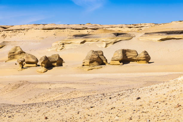 Eroded rocks along the interpretive trail at Wadi el-Hitan paleontological site.