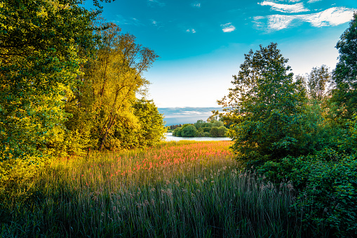 spring time view of Lake Champlain in Vermont and the Adirondack Mountains in New York