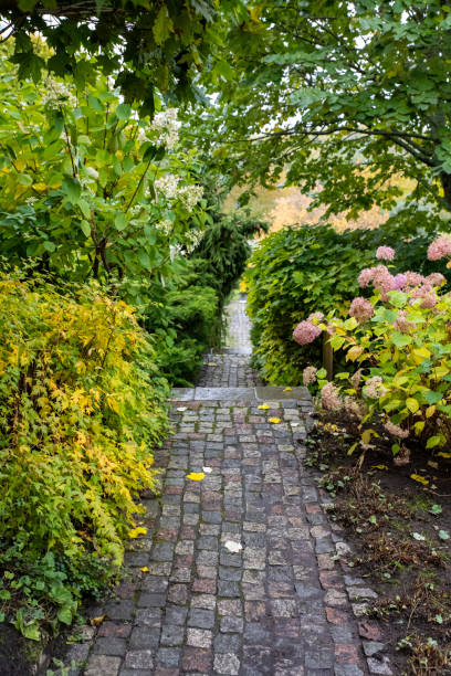 istock Autumn, garden and flowers. 1430785804