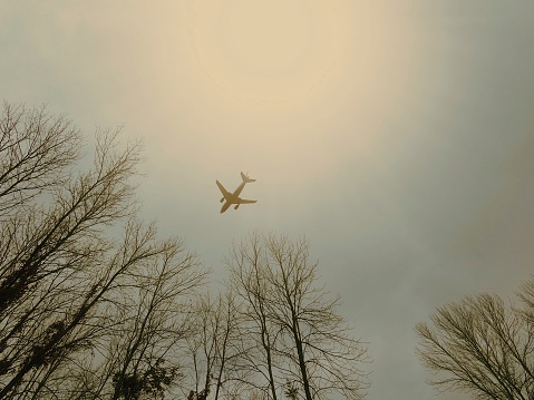Airplane /sunlight/ in the woods