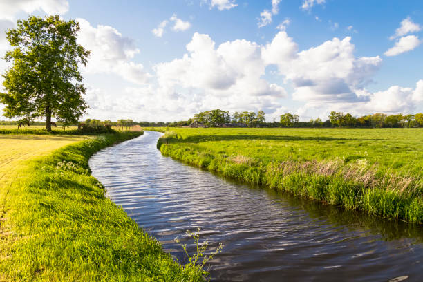 the river barneveldse beek flows through the agricultural area near the village of stoutenburg. - polder field meadow landscape imagens e fotografias de stock