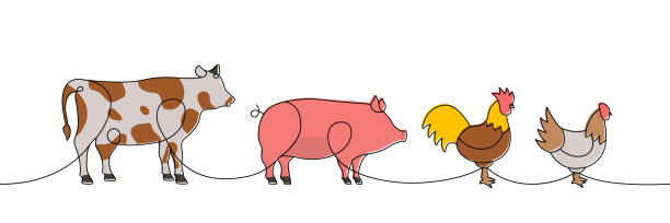 istock Farm animals set one line colored continuous drawing. Pig, Cow, Chicken, Rooster silhouettes. Farm animals continuous one line colorful illustration. 1430792718