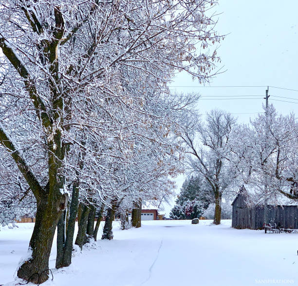 istock Winter wonderland 1430793450