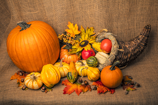 Pumpkins, gourds, corn, apples, flowers, and leaves sit on a wooden surface.