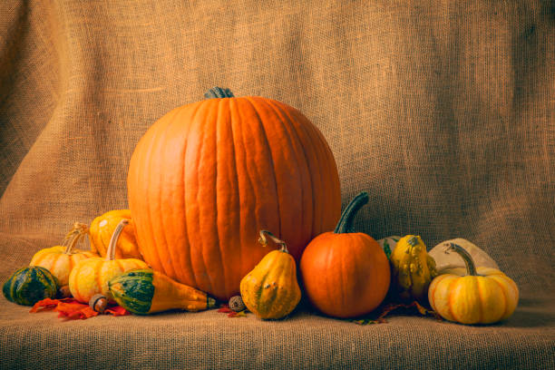 istock Festive Pumpkins and Gourds 1430797624