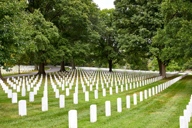 istock Rows of Headstones at a cemetery 1430800748