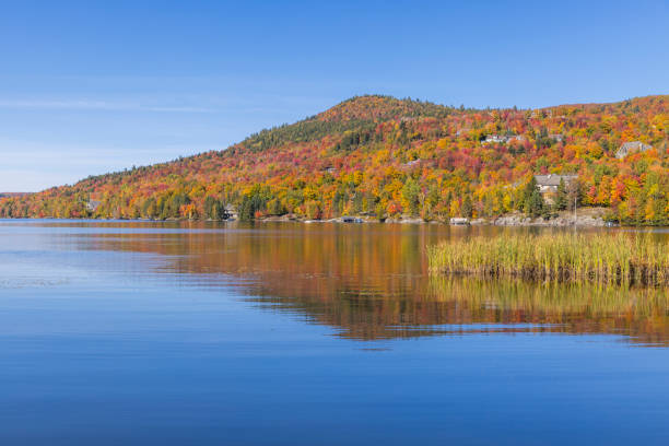 istock Spectacular autumn, Mont Tremblant, Quebec, Canada 1430804350