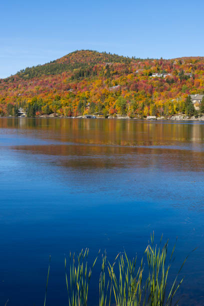 istock Spectacular autumn, Mont Tremblant, Quebec, Canada 1430804874
