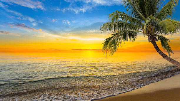 istock Beautiful Landscape Ocean Summer sunset Natural 1430805232