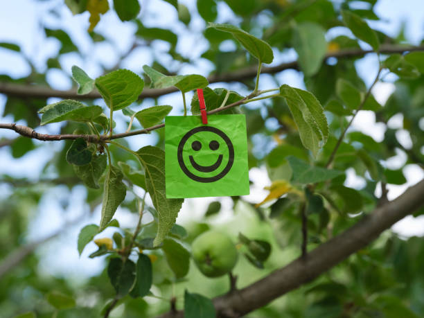 istock A green paper note with a happy face on it attached to a tree branch with a clothes pin 1430812464