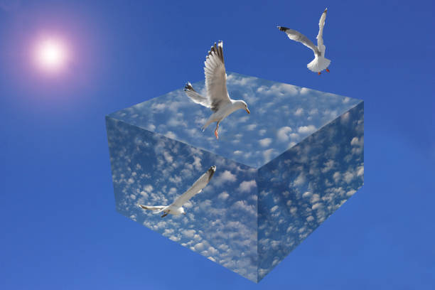 gaviotas volando en el cielo cielo cúbico con nubes en el fondo de un cielo sin nubes con un halo luminoso - mammatus cloud fotografías e imágenes de stock