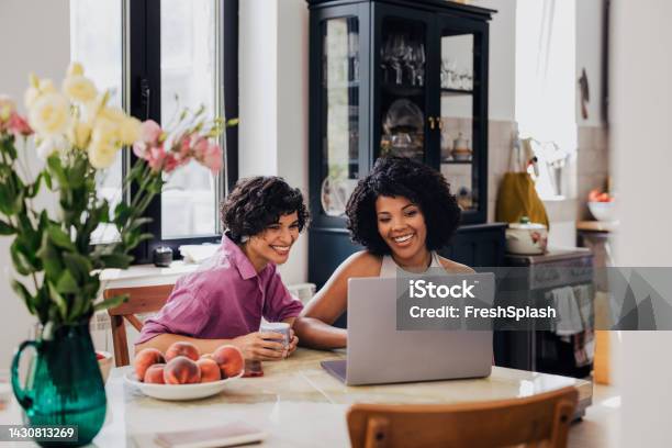 Two Happy Businesswomen Working Together From Home On Their Comp Stock Photo - Download Image Now