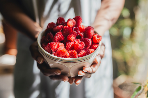 A cropped photo of an anonymous Caucasian woman holding a bowl of fresh juicy raspberries.