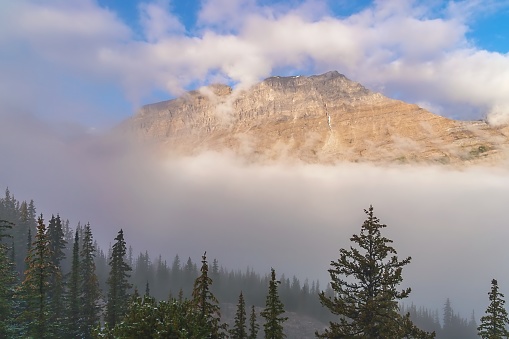 A heavy layer of clouds covering up mountains and trees in a Banff park.