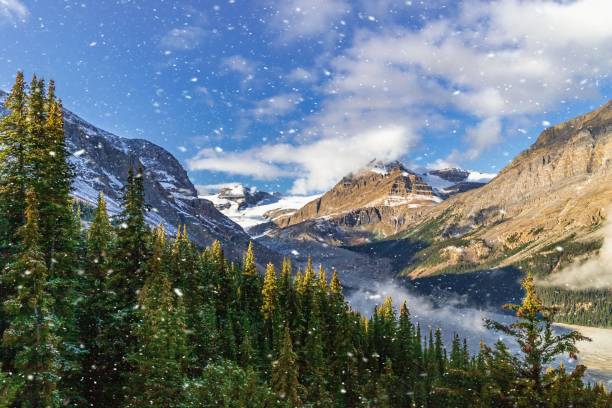 istock Snowfall Over Banff Mountains And Forest 1430815119