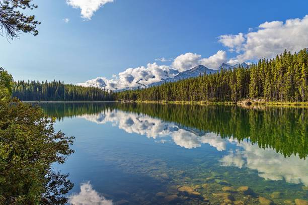 reflection of mountains and trees on a park lake - reflection imagens e fotografias de stock