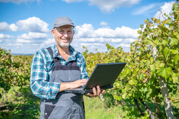 istock Vintner - oenologist works in a vineyard. 1430819071