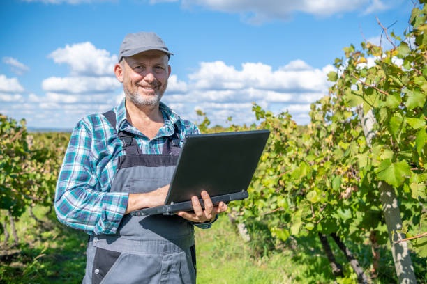 istock Vintner - oenologist works in a vineyard. 1430819086