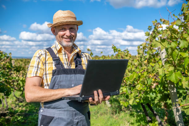 istock Vintner - oenologist works in a vineyard. 1430819102