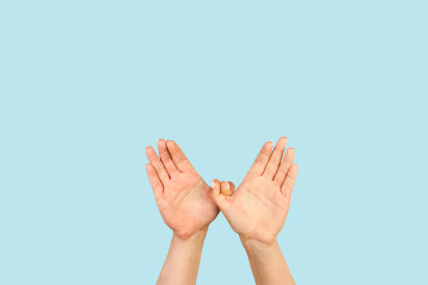 istock Woman hands in bird gesture on a light blue background 1430830749