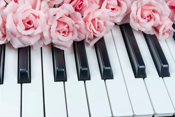 primer plano del elegante ramo de rosas rosas en el teclado del piano. concepto de san valentín y tarjeta de condolencia. espacio de copia. - art homage fotografías e imágenes de stock