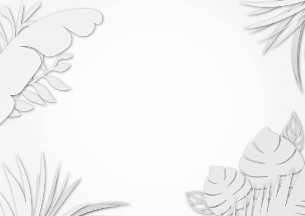 istock Abstract white grey background, tropical leafs leaves nature in simple pattern design, Illustration, papercut origami paper art style 1430844206