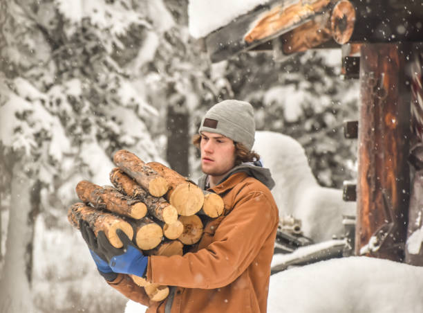 istock Carrying in wood - male 1430850472