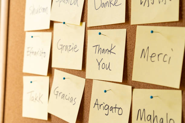 istock Thank you word cloud notes on corkboard 1430857275