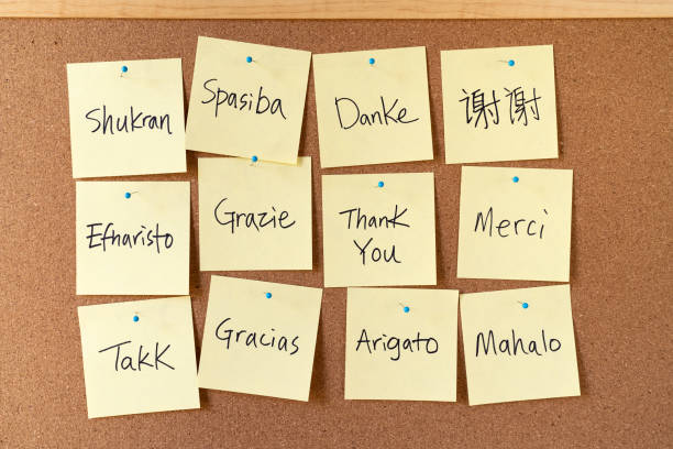 istock Thank you word cloud notes on corkboard 1430857326
