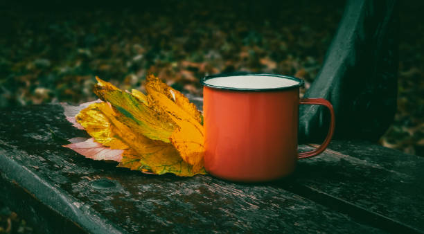 istock A red mug with orange-yellow leaves on a bench. 1430860193